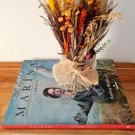 Art Gallery Nové Zámky